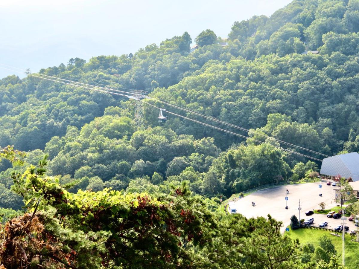 Million Dollar Views! 4 Bedroom, Sleeps 9, Close To National Park And 5 Mi To Gatlinburg! Extérieur photo